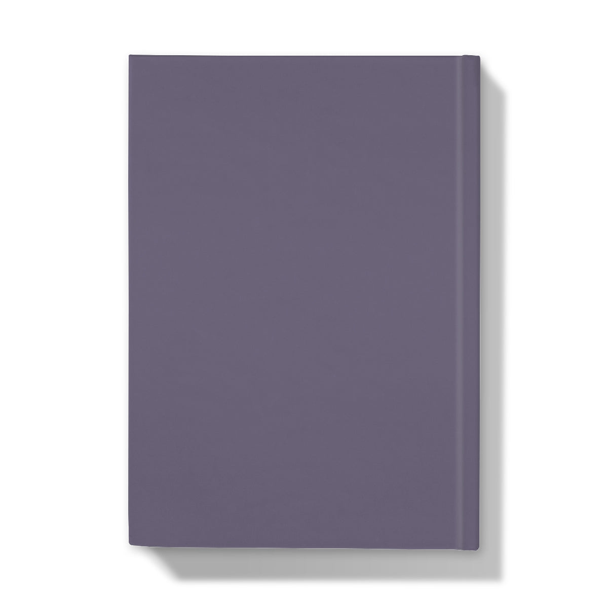 The Ballet Shoes Hardback Journal