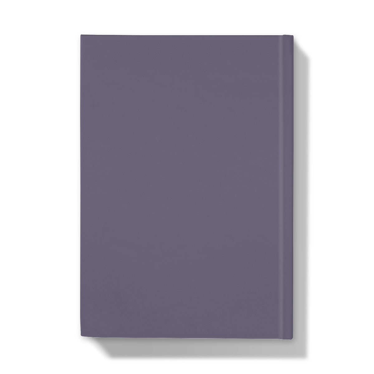 The Ballet Shoes Hardback Journal