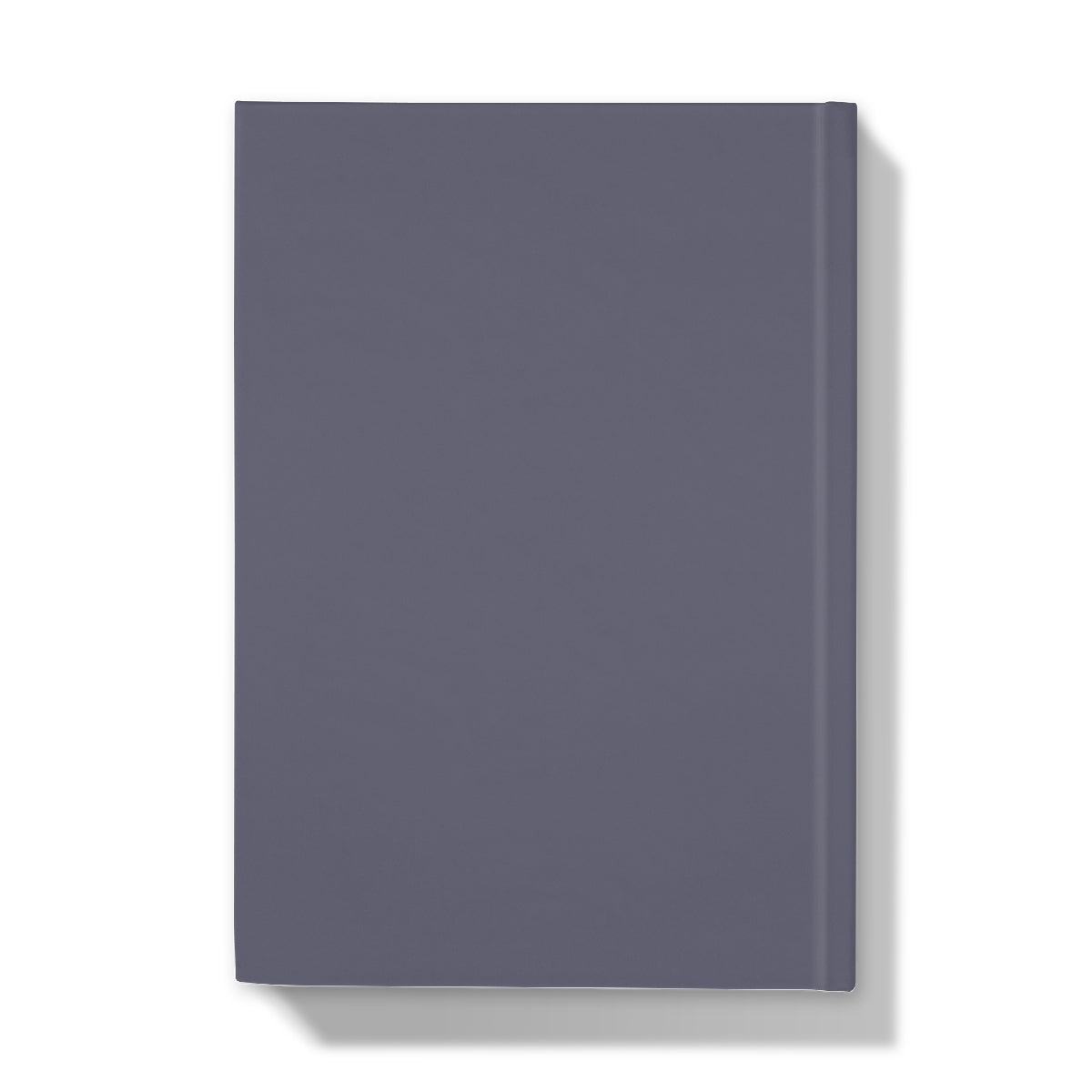 The Ballet Shoes Hardback Journal