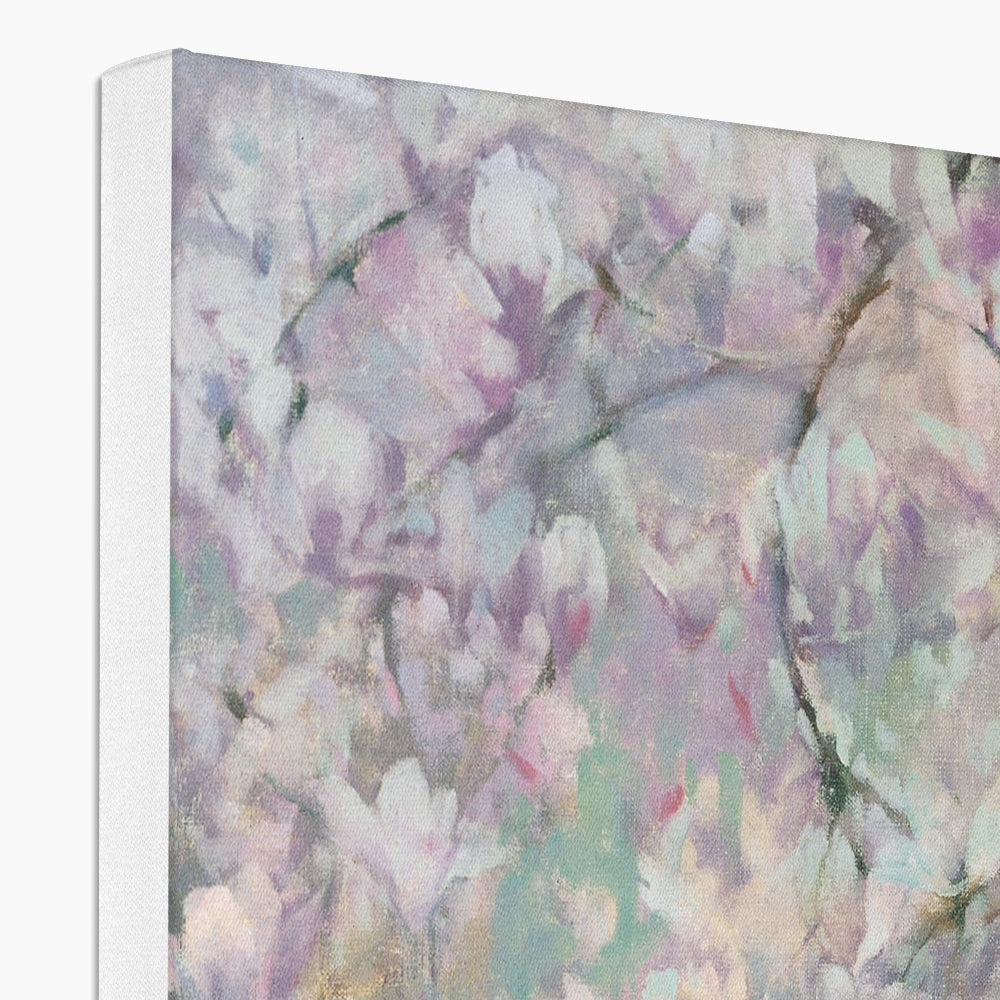Magnolias Canvas