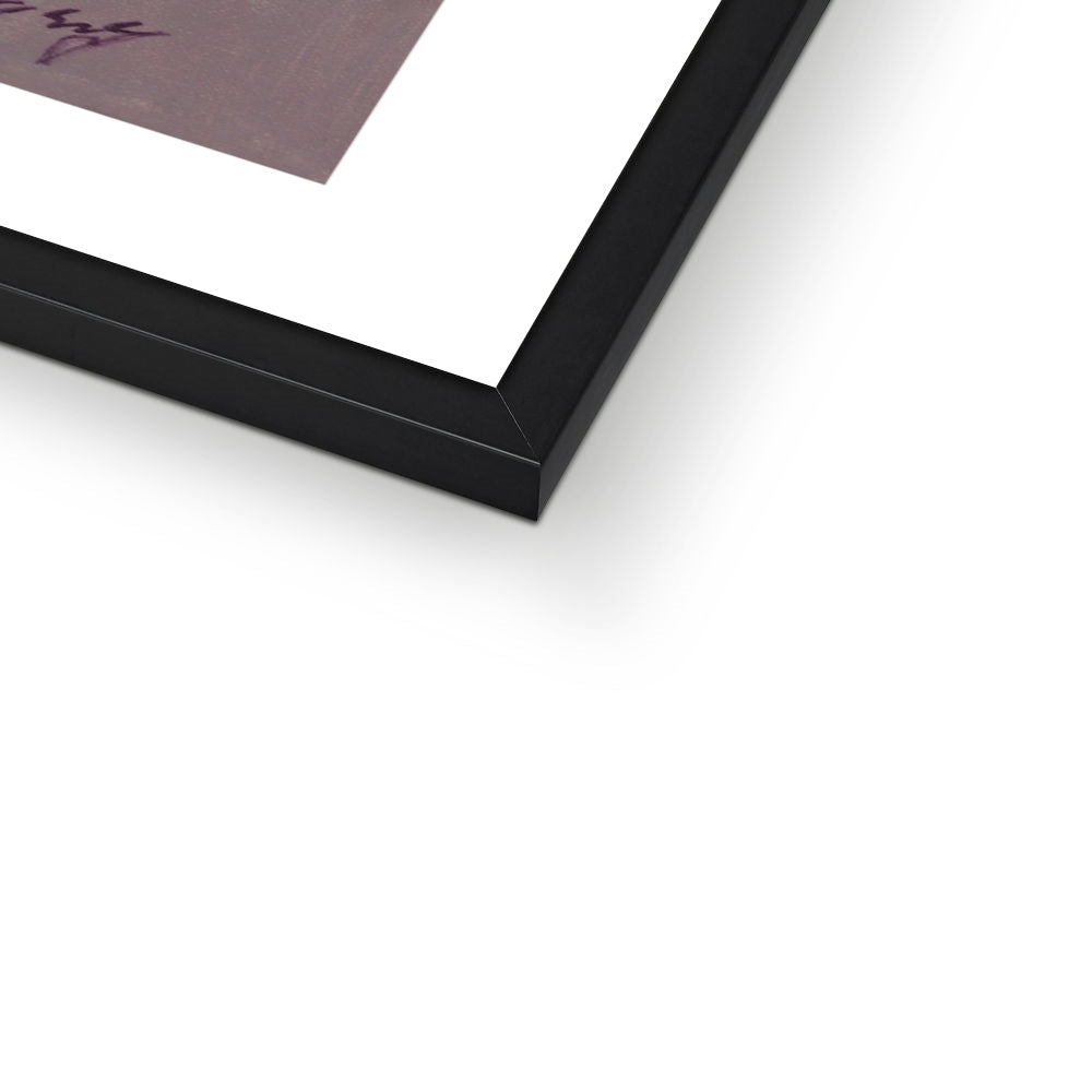 The Ballet Shoes Framed Print